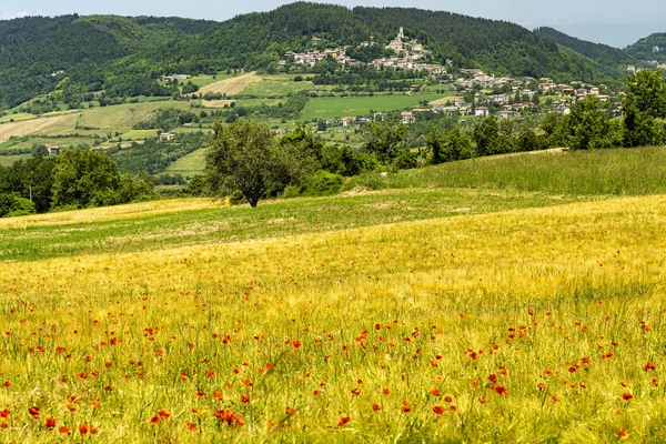 Passo del penice: Berglandschaft — Stockfoto