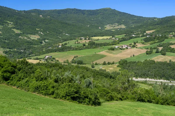 Road to Prato Barbieri, landscape of Appennino — Stock Photo, Image