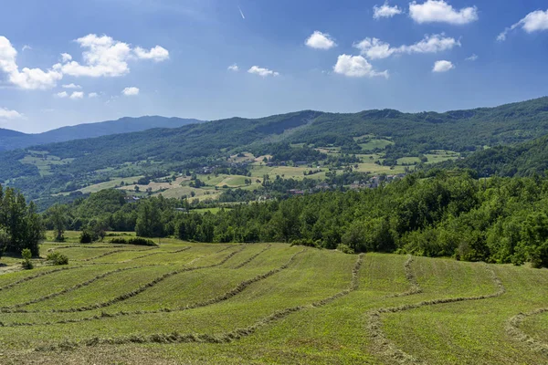 De weg naar Prato Barbieri, landschap van Appennino — Stockfoto