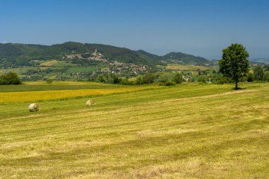 Passo del Penice: mountain landscape