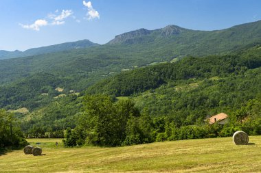 Prato Barbieri Yolu, Appennino manzara