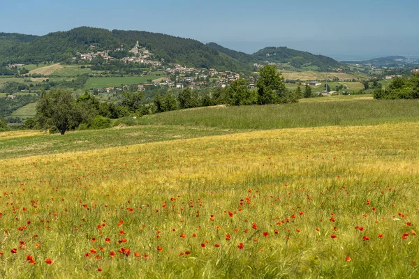 Passo del Penice: ορεινό τοπίο — Φωτογραφία Αρχείου