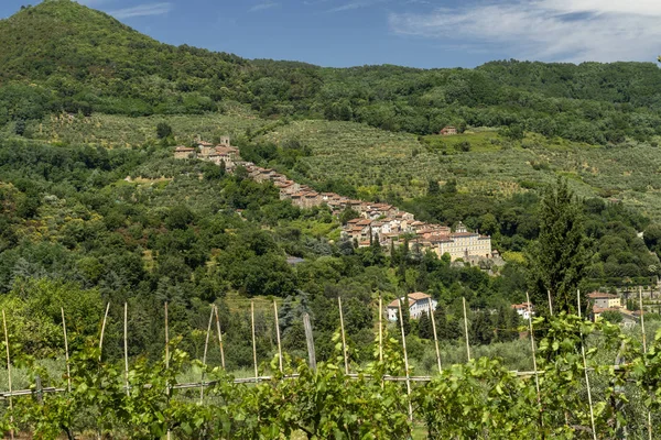 Kullar nära Collodi, Lucca — Stockfoto