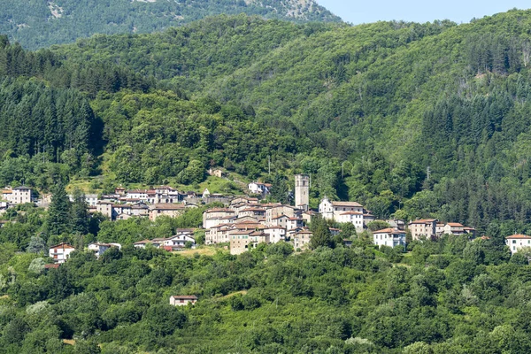 Panoramiczny widok na San Romano w Garfagnana, Toskania — Zdjęcie stockowe