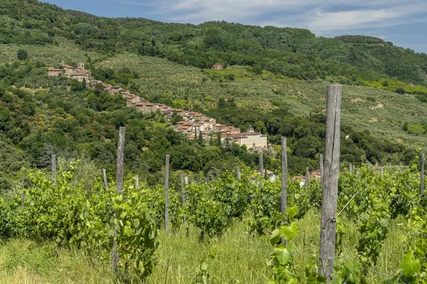 Colinas cerca de Collodi, Lucca — Foto de Stock