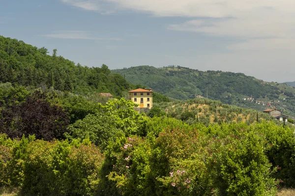 Hills near San Gennaro, Lucca — Stock Photo, Image