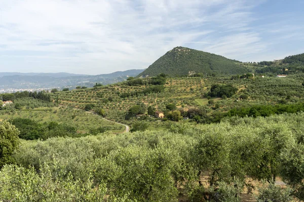 Paisaje en Chianti en verano — Foto de Stock