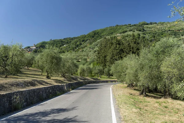 Paisaje rural cerca de Pescia, Toscana — Foto de Stock