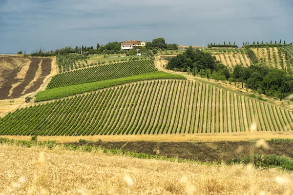 Yaz aylarında Fucecchio yakınlarındaki Chianti Peyzaj — Stok fotoğraf