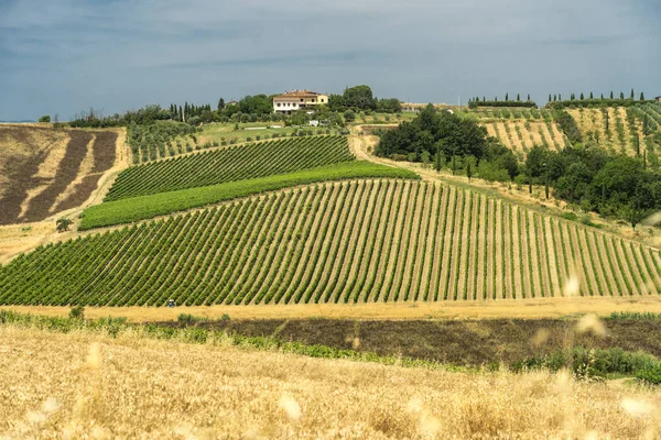 Paisagem em Chianti perto de Fucecchio no verão — Fotografia de Stock