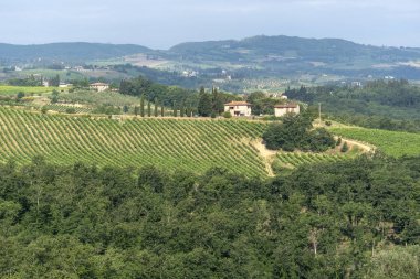 Yaz aylarında Chianti bölgesinde yaz manzara