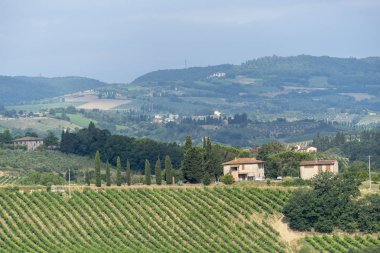 Yaz aylarında Chianti bölgesinde yaz manzara