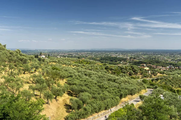 Αγροτικό τοπίο κοντά Pescia, Τοσκάνη — Φωτογραφία Αρχείου