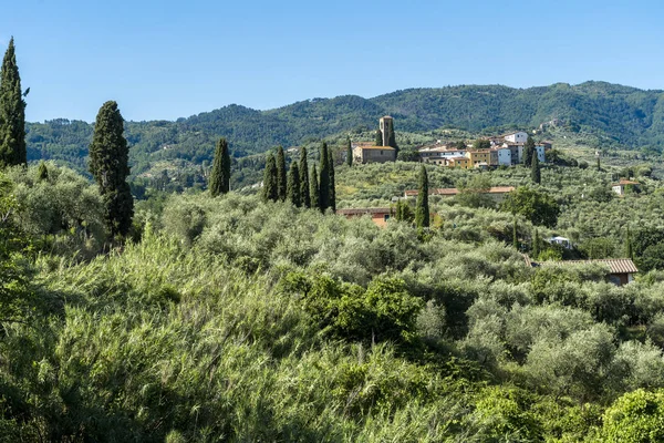 Paysage rural de Buggiano Castello, Toscane — Photo