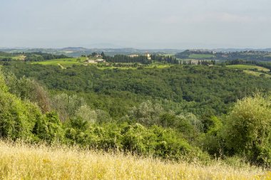 Yaz aylarında Chianti bölgesinde yaz manzara