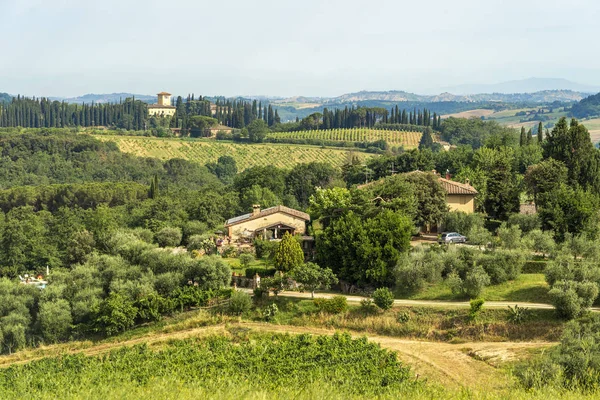 Paesaggio estivo nel Chianti d'estate — Foto Stock