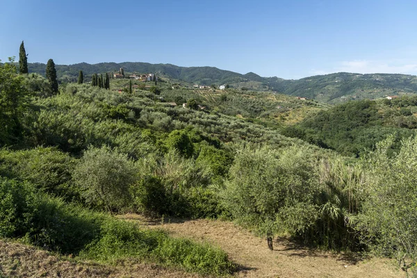 Landsbygdslandskap från Buggiano Castello, Toscana — Stockfoto