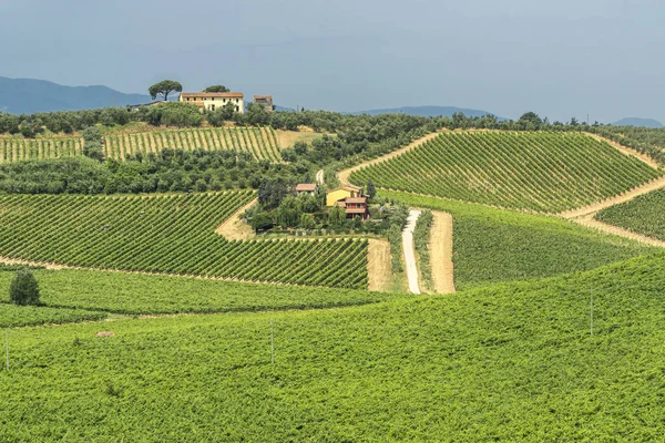 Krajina v Chianti blízko Lamporecchio v létě — Stock fotografie