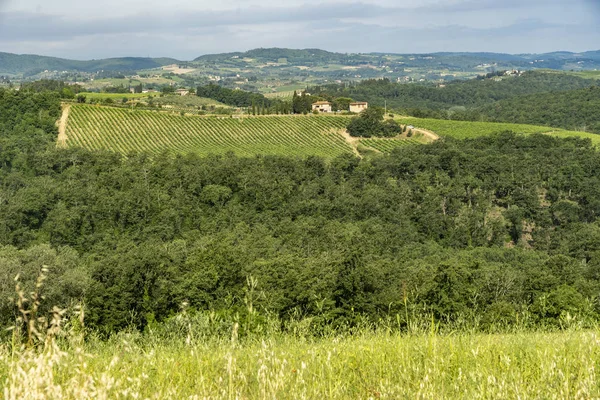 Letní krajina v létě v regionu Chianti — Stock fotografie