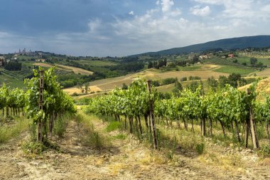 Yaz aylarında Chianti bölgesinde yaz manzara