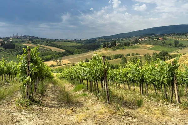 Yaz aylarında Chianti bölgesinde yaz manzara — Stok fotoğraf