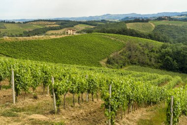 Yaz aylarında Chianti bölgesinde yaz manzara