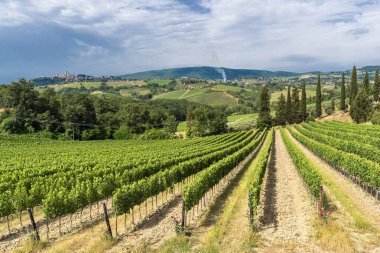 Yaz aylarında Chianti bölgesinde yaz manzara