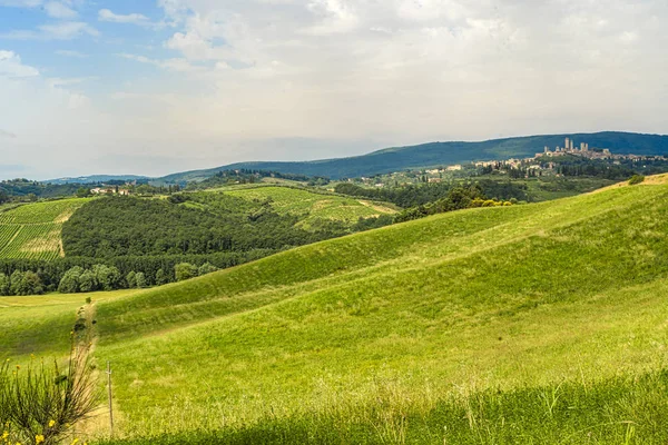 Летний пейзаж в регионе Кьянти летом — стоковое фото