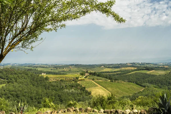 Sommerlandschaft im Chianti im Sommer — Stockfoto