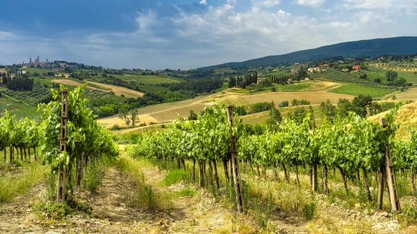 Letni krajobraz w regionie Chianti latem — Zdjęcie stockowe