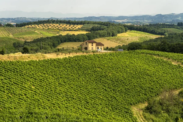Zomer landschap in de Chianti-streek in de zomer — Stockfoto