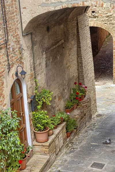 Certaldo, medeltida stad i Toscana — Stockfoto