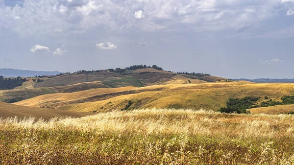 Paesaggio estivo in Toscana vicino Volterra — Foto Stock