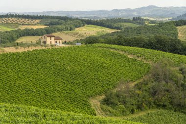 Yaz aylarında Chianti bölgesinde yaz manzara