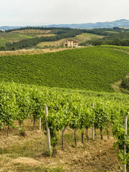 Sommerlandschaft im Chianti im Sommer — Stockfoto