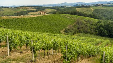 Yaz aylarında Chianti bölgesinde yaz manzara