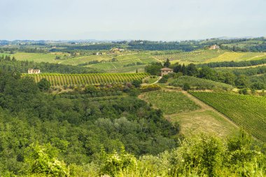 Yaz aylarında Chianti bölgesinde yaz manzara