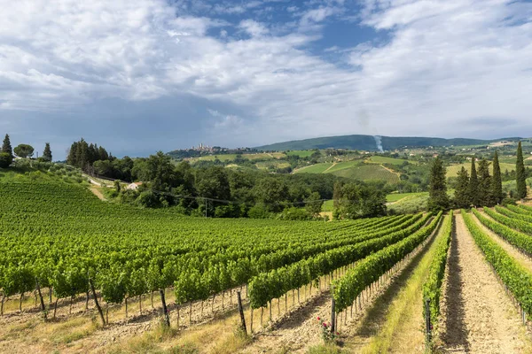 Summer landscape in the Chianti region at summer — Stock Photo, Image
