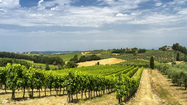 Paisagem de verão na Toscana perto de Certaldo — Fotografia de Stock