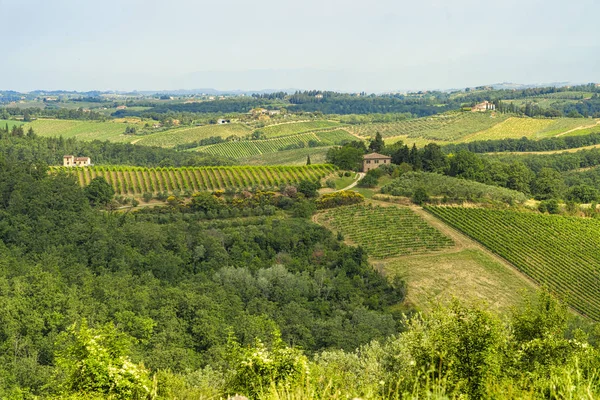 Yaz aylarında Chianti bölgesinde yaz manzara Stok Resim