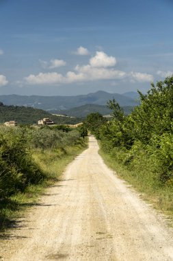 Volterra, Toskana yakınlarındaki yaz kırsal manzara