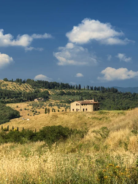 Paesaggio rurale in estate vicino Volterra, Toscana — Foto Stock