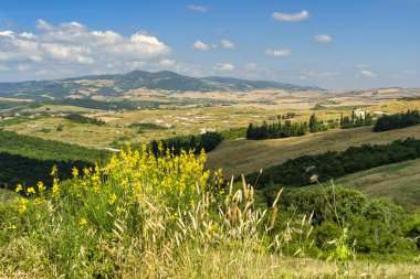 Volterra, Toskana yakınlarındaki yaz kırsal manzara