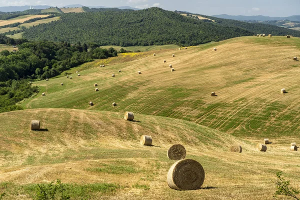 Paesaggio rurale in estate vicino Volterra, Toscana — Foto Stock