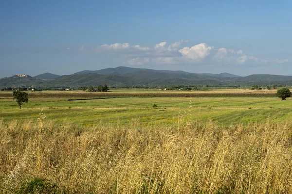 Letní krajina v Maremmě, Toskánsku — Stock fotografie