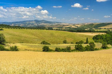 Volterra, Toskana yakınlarındaki yaz kırsal manzara
