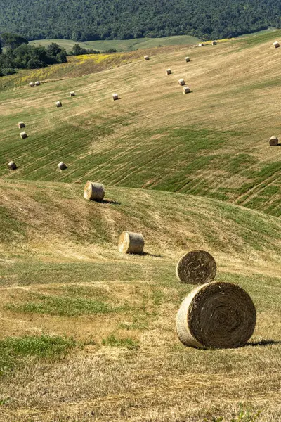 Paisagem rural no verão perto de Volterra, Toscana — Fotografia de Stock