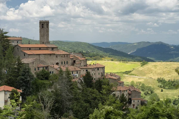 Vista panorâmica de Castelnuovo di Val di Cecina, Toscana — Fotografia de Stock