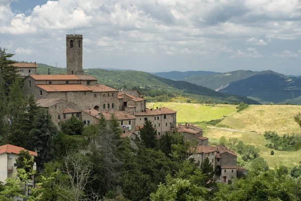 Panorámás kilátás Castelnuovo di Val di Cecina, Toszkána — Stock Fotó