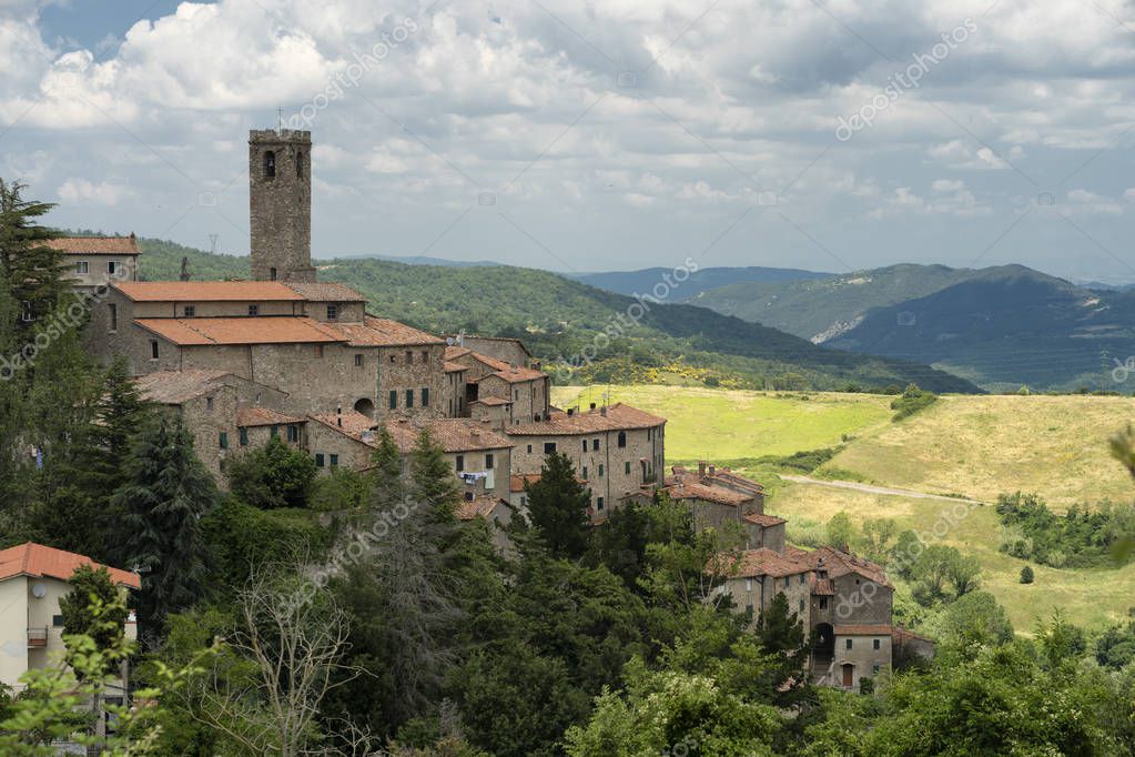 Castelnuovo Di Val Di Cecina